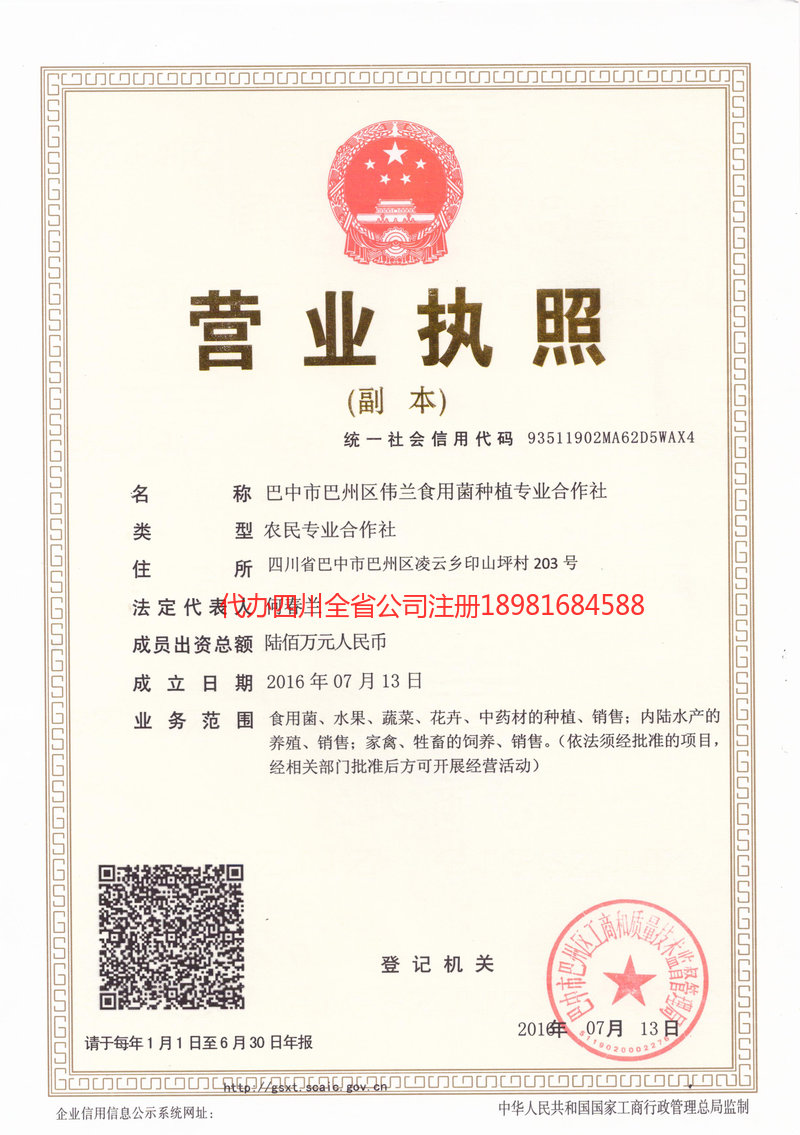 江油江油伟兰食用菌种植专业合作社